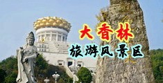 巨龙插名器中国浙江-绍兴大香林旅游风景区
